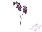 Orchidej tmavě fialová latex
