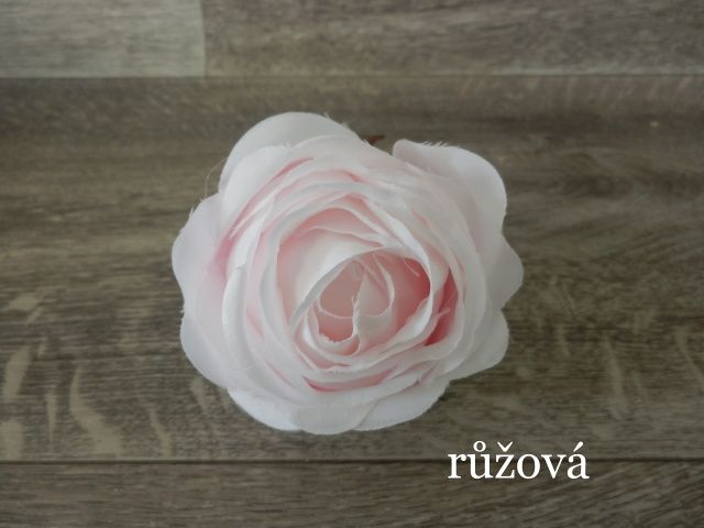 Květ růže Cabbage II.