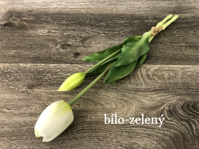 Tulipán latex květ s poupětem