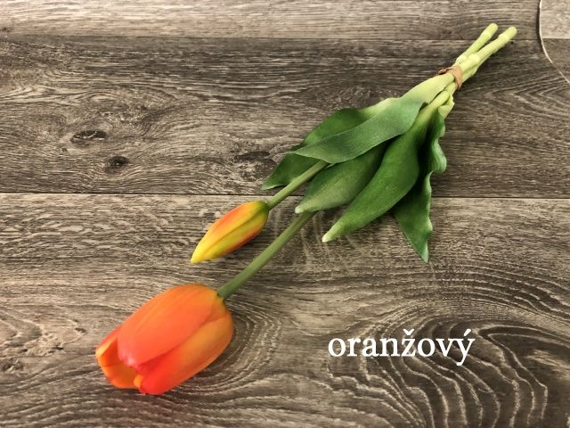 Tulipán latex květ s poupětem