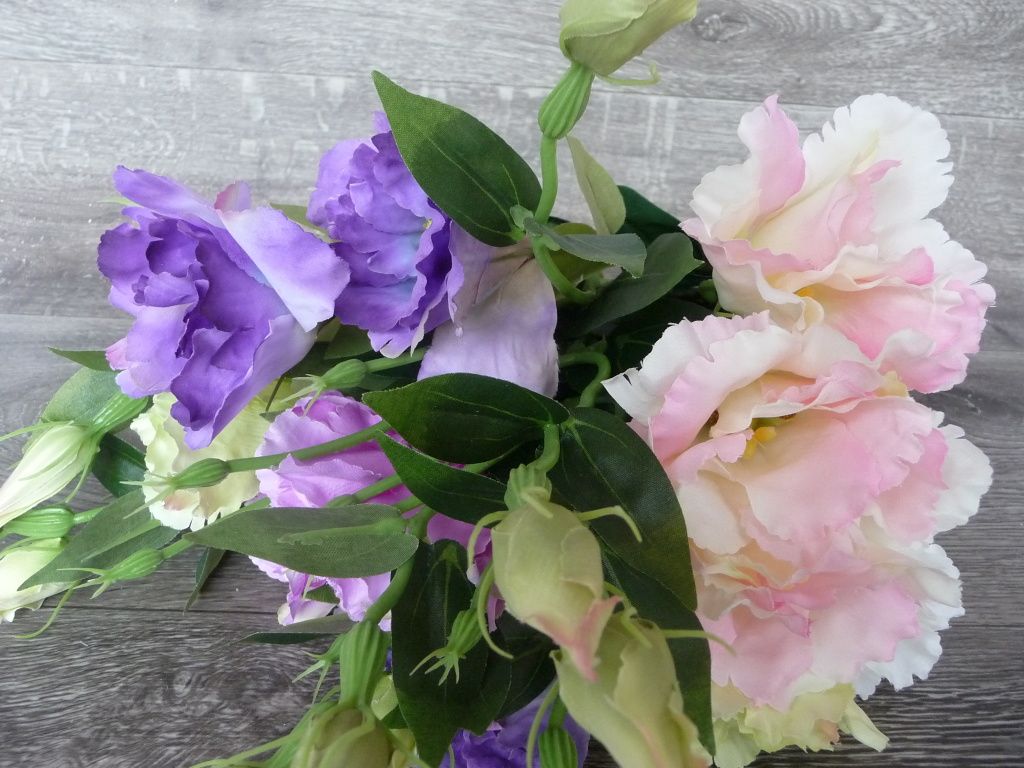 eustoma