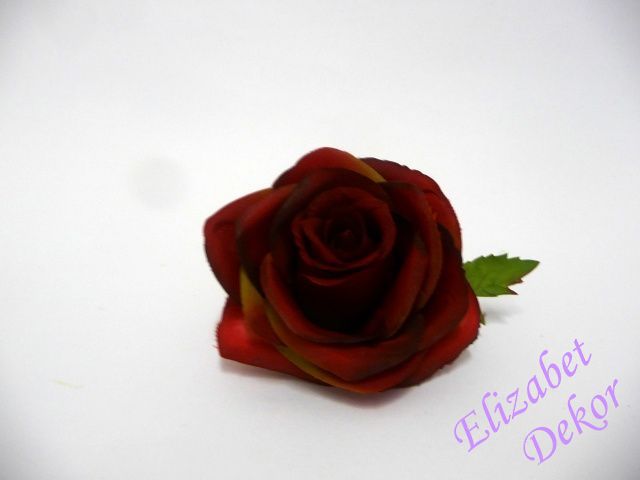 Květ růže červený II.