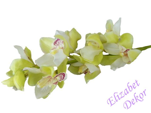 Orchidej Cymbidium - zelenkavá