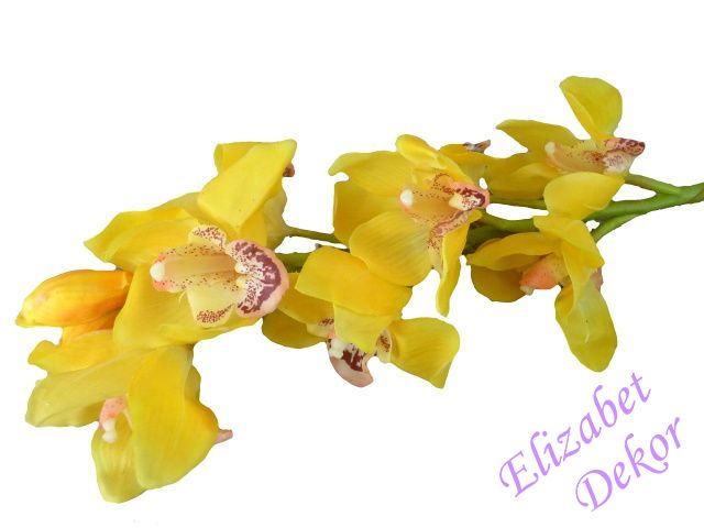 Orchidej Cymbidium - žlutá