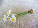 Narcis s cibulkou II.