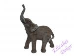 Slon malý A