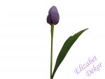 Tulipán 7E SVĚTLE FIALOVÁ
