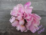 Magnolie kytice - světle růžová*