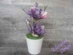 Magnolie aranž V.