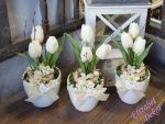Tulipány v květináči - krém