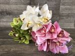 Cymbidium 25 cm - kytice