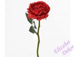 Růže anglická červená