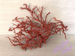 Dekorační kořen - červený
