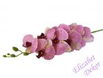 Orchidej sytě růžová žilkovaná 105 cm.