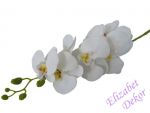 Orchidej bílá žíhaný střed 105 cm