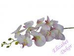 Orchidej bílá s růžovým žíháním 102 cm