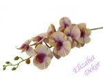 Orchidej broskev s fialovou 102 cm