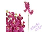 Orchidej fialová 70 cm