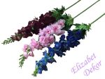 Delphinium 70 cm